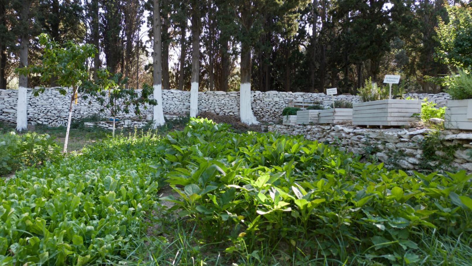 Votsalo Seaside Villa Piso Gialia ภายนอก รูปภาพ